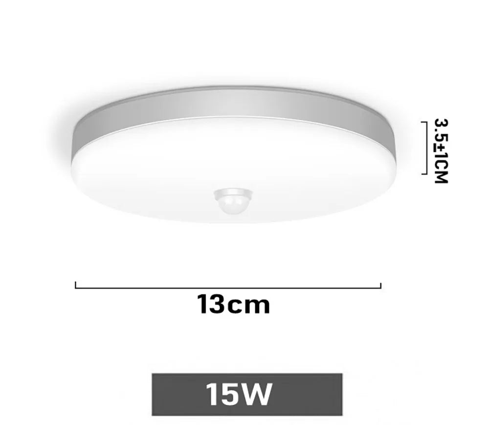 Smart Home Light PIR Motion Sensor lighting 30W 20W AC 230V 220V 240V LED Ceiling bulb Ceiling Lamp For Room Hallways Corridor
