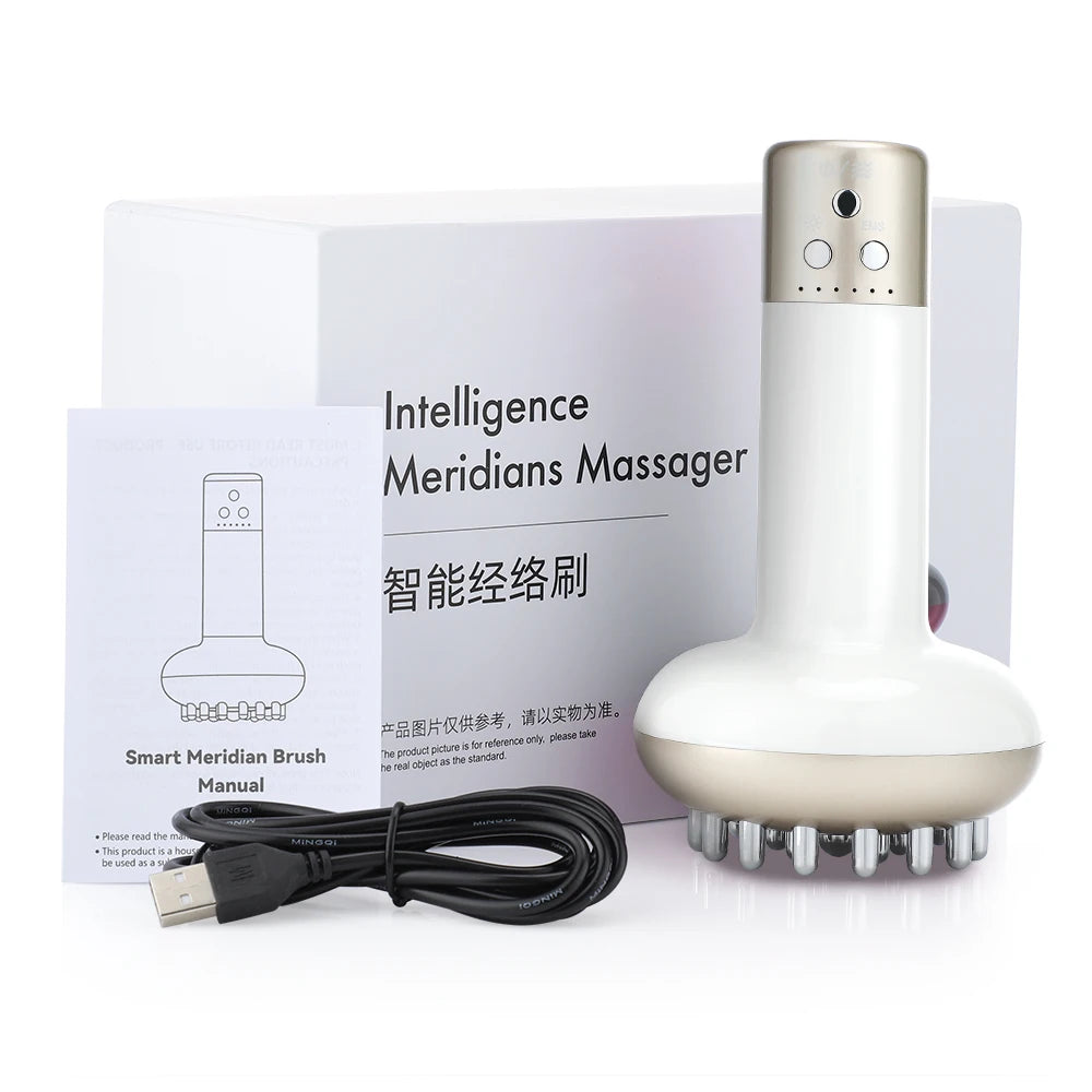 Eletric Guahsa Massager Meridian Massage Brush Lymphatic Drainage Machine Heating Microcurrent Body Back Massager Anti Cellulite