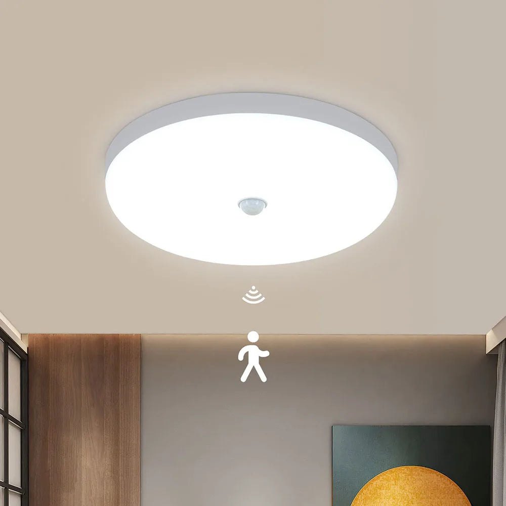 Smart Home Light PIR Motion Sensor lighting 30W 20W AC 230V 220V 240V LED Ceiling bulb Ceiling Lamp For Room Hallways Corridor